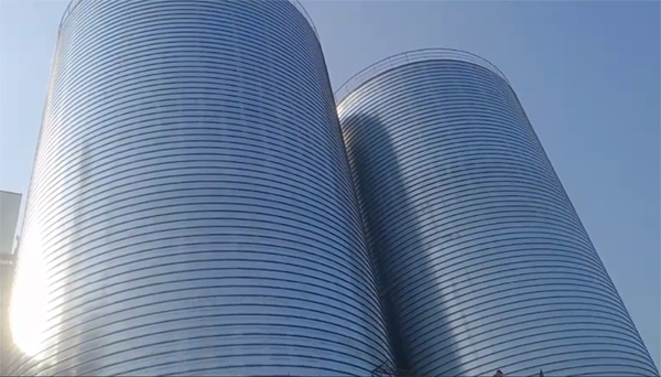 商河2座混凝土高架卷板仓